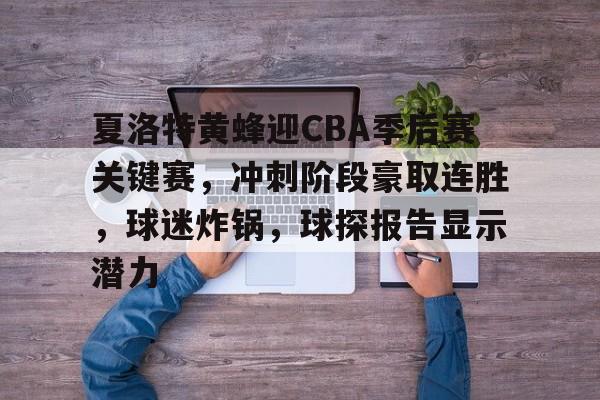 爱游戏体育官方网站-夏洛特黄蜂迎CBA季后赛关键赛，冲刺阶段豪取连胜，球迷炸锅，球探报告显示潜力的简单介绍