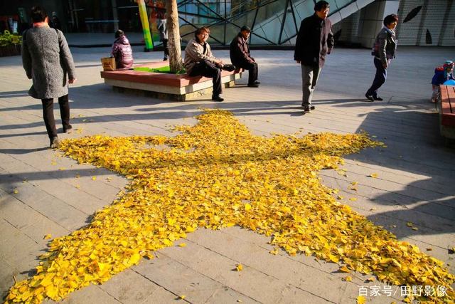 2025独角兽企业榜单